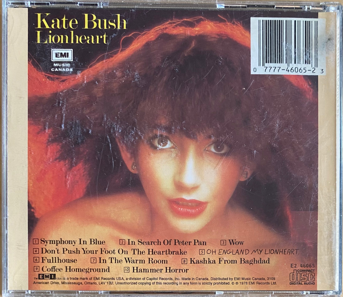 Kate Bush — Lionheart