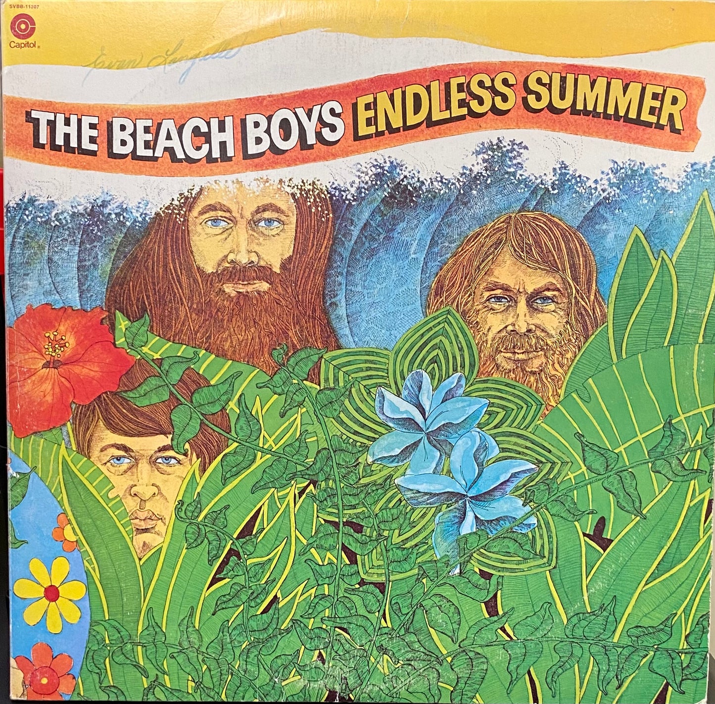The Beach Boys — Endless Summer