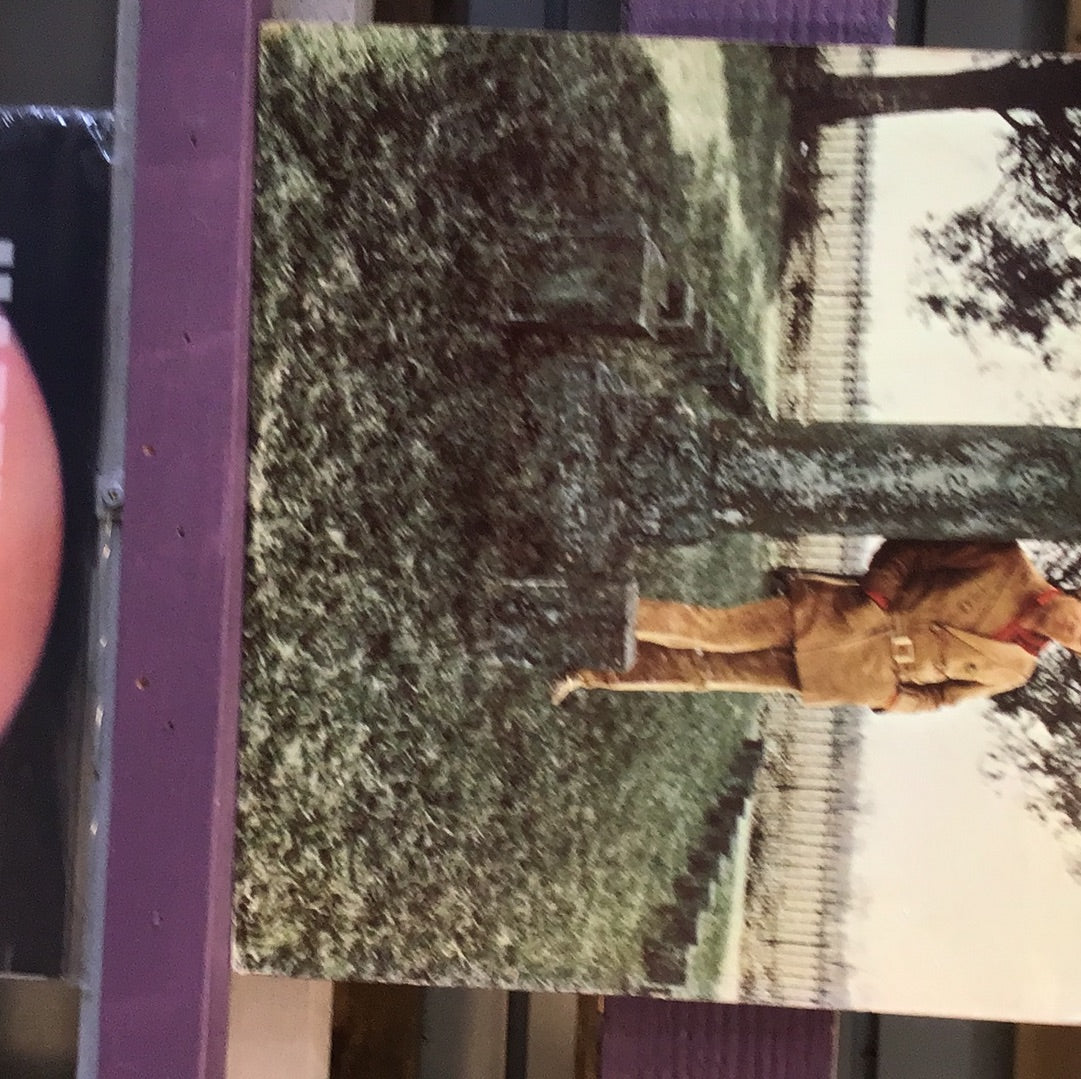 - Bobby Goldsboro - Greatest Hits - Vinyl Record -